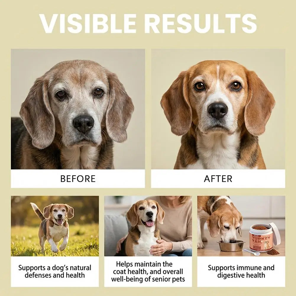 Daily Immune Support Powder for Dogs