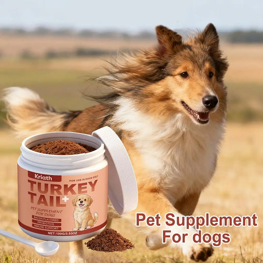 Daily Immune Support Powder for Dogs