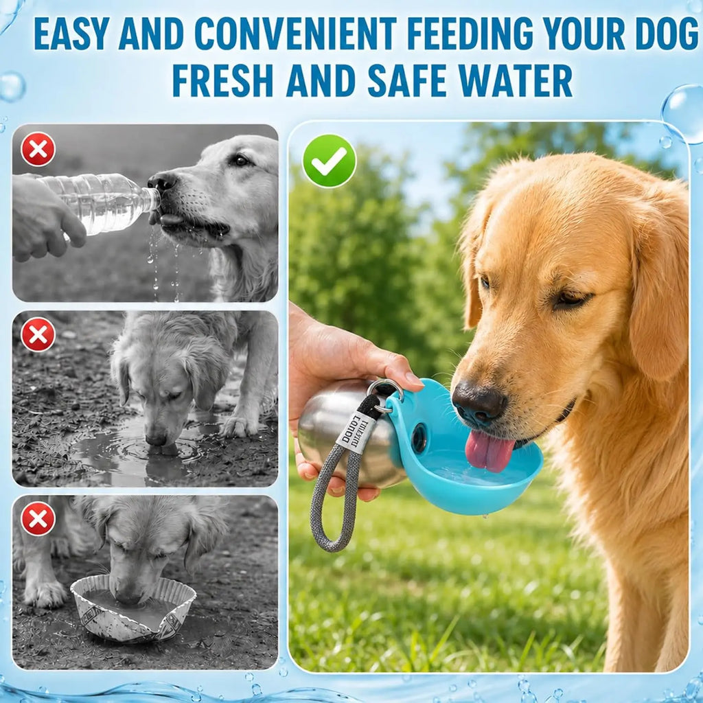 2-in-1 Portable Dog Water Bottle